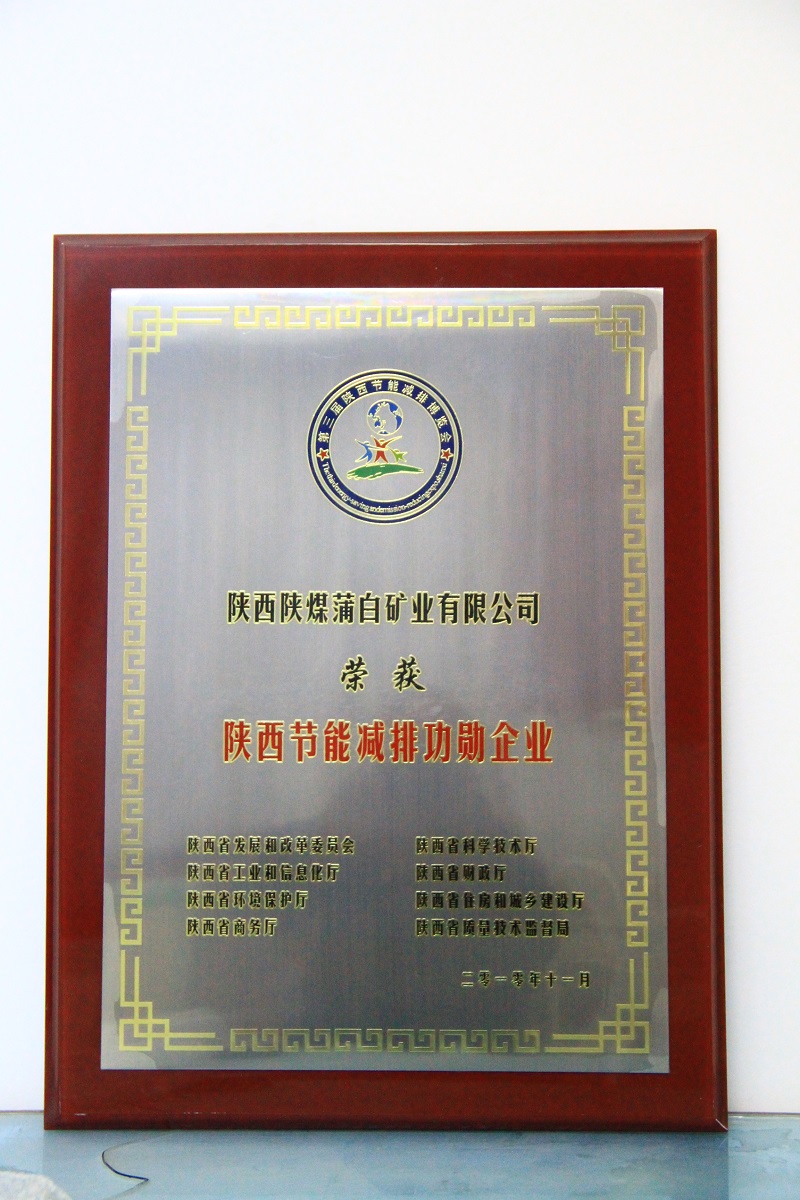 8.陕西节能减排功勋企业.JPG